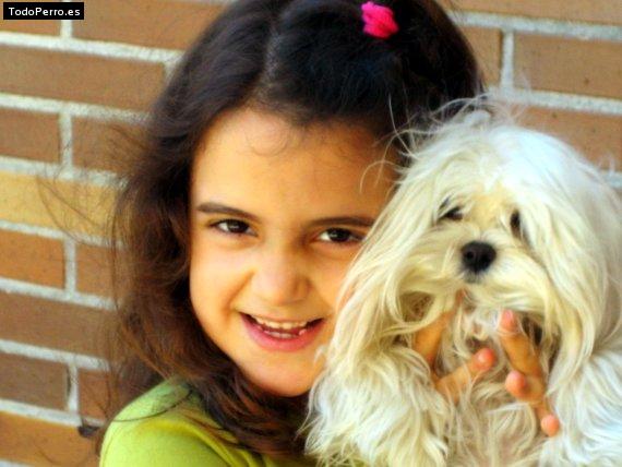 Foto del perro Rulo