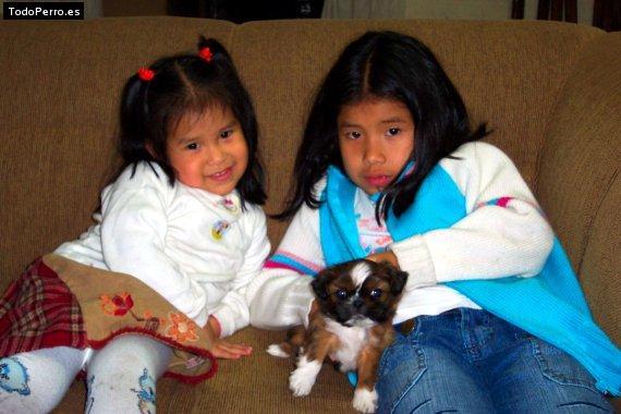 Foto del perro Chiquita
