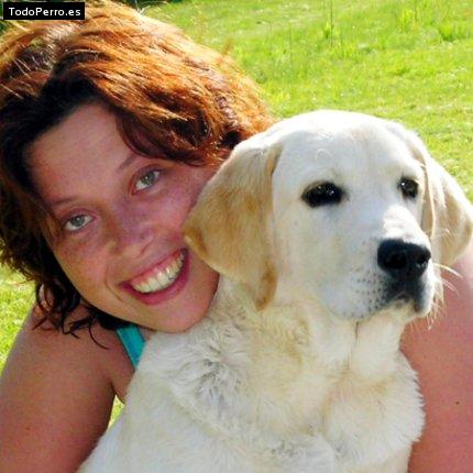 Foto del perro Icono can de catatumbo