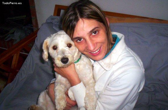 Foto del perro Candy