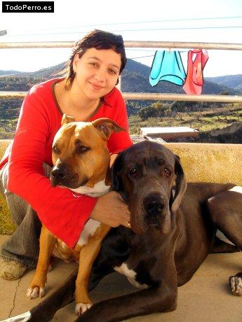 Foto del perro Ekhine y troya