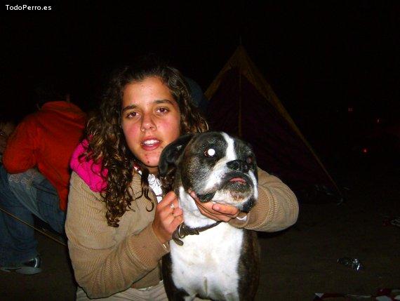 Foto del perro Wiski