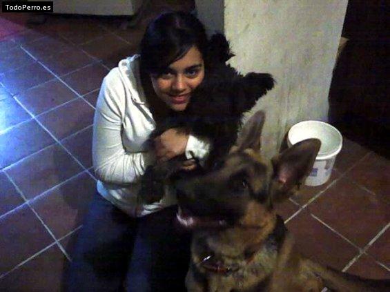 Foto del perro Coby y buba