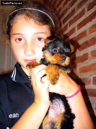 La foto del perro Juana Foto del perro Juana