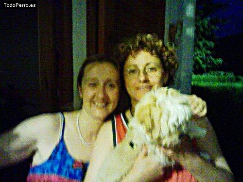 Foto del perro Michael