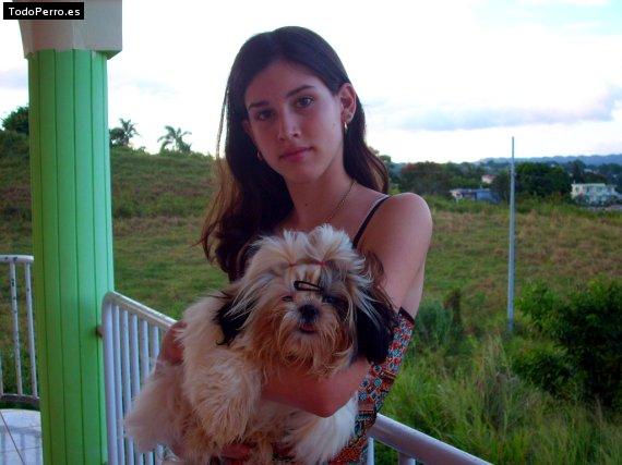 Foto del perro Cindy