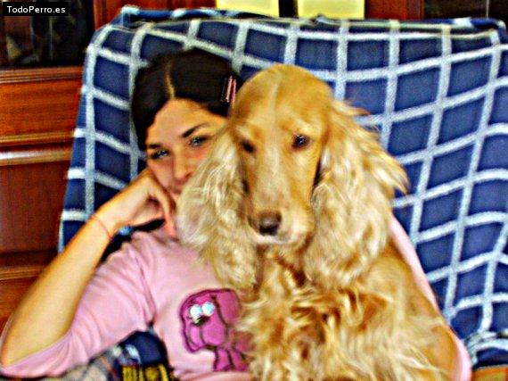 La foto del perro Gretel Foto del perro Gretel