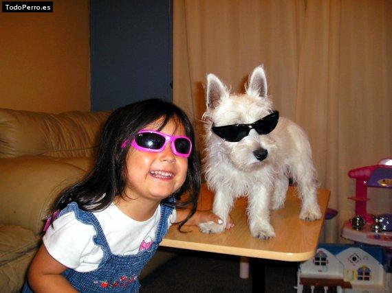 Foto del perro Copito