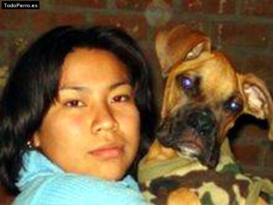 Foto del perro Rambito