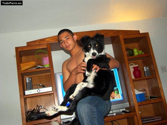 La foto del perro Luc Foto del perro Luc