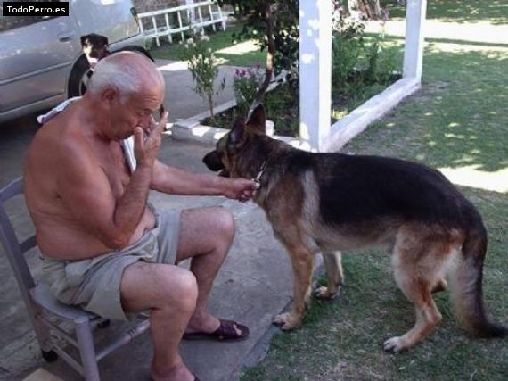 La foto del perro