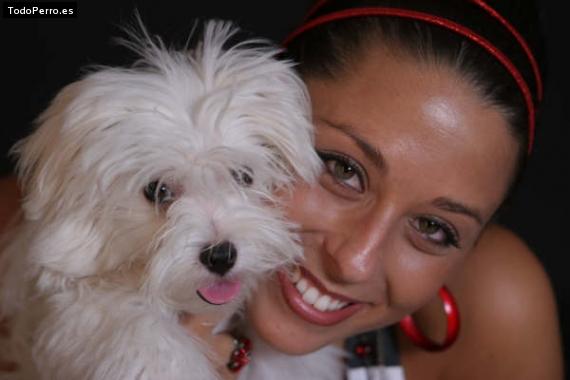 Foto del perro Rocco