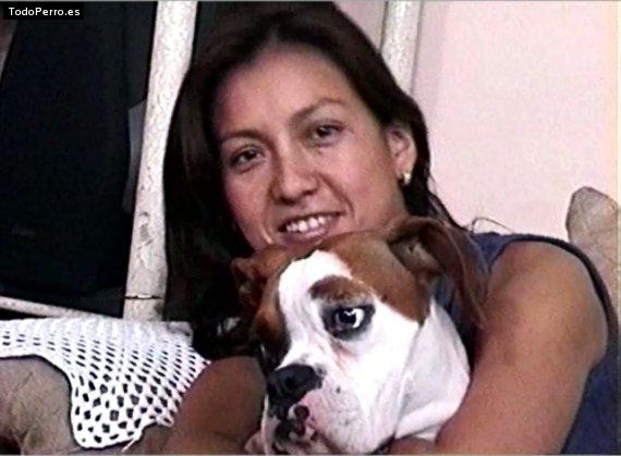 Foto del perro Shayna