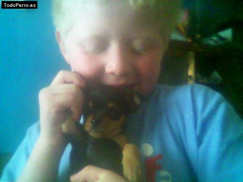 La foto del perro Gonzo Foto del perro Gonzo