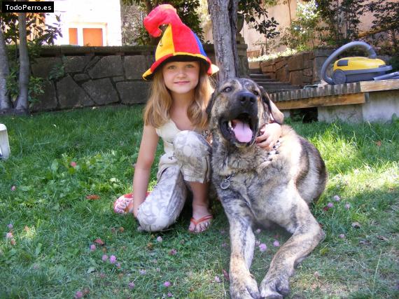 La foto del perro