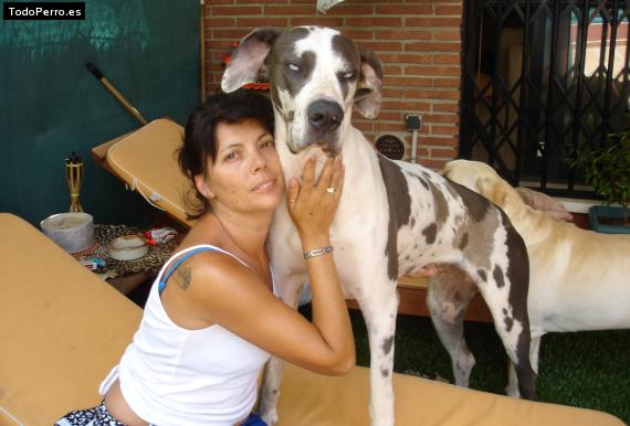 Foto del perro Niebla