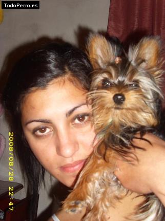 La foto del perro Josefina Foto del perro Josefina