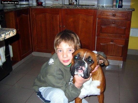 Foto del perro Milton