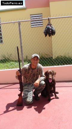 La foto del perro