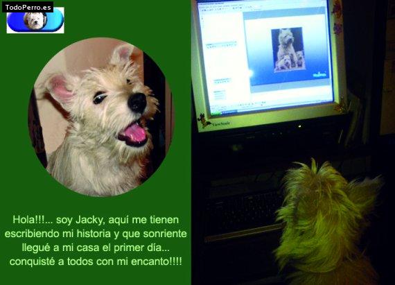 La foto del perro