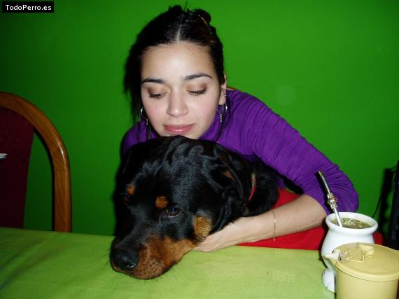 La foto del perro