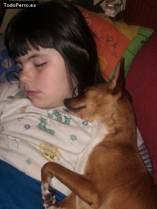 Foto del perro Cuca