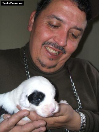 La foto del perro Leo Foto del perro Leo