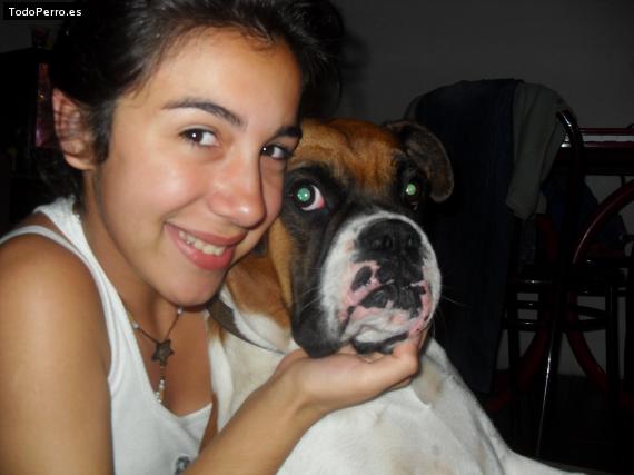 La foto del perro