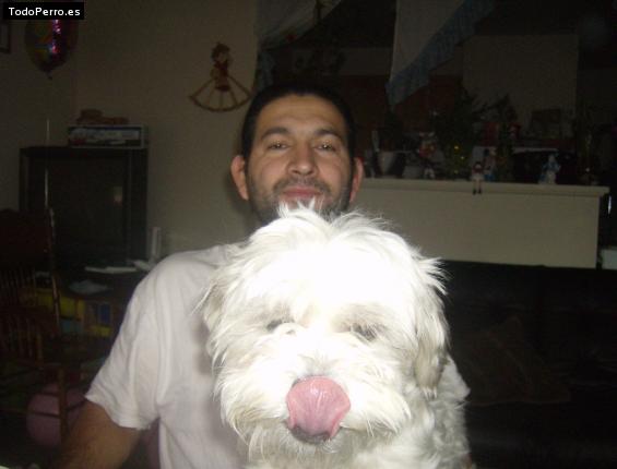 Foto del perro Coke
