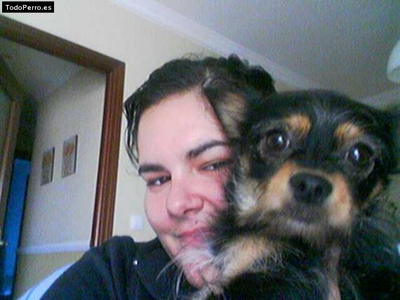 Foto del perro Lexter