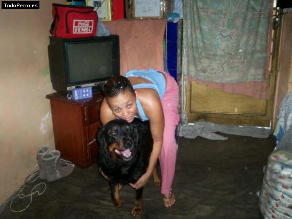 La foto del perro