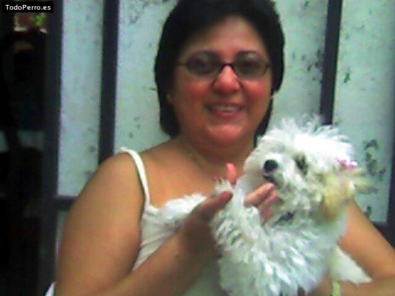 La foto del perro Gigí alessandra Foto del perro Gigí alessandra