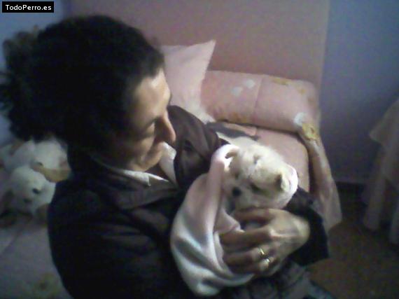 Foto del perro Coco