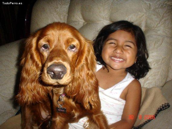 Foto del perro Reyna