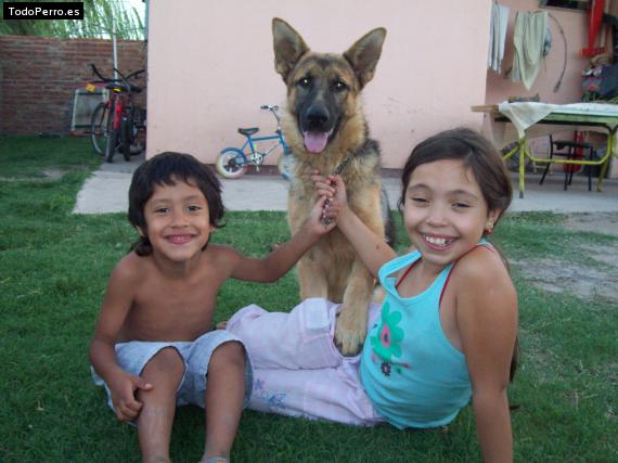 La foto del perro