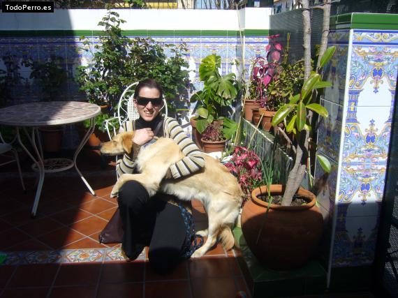 La foto del perro