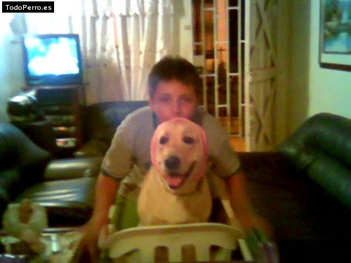 La foto del perro Gabriel Foto del perro Gabriel