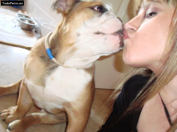 La foto del perro