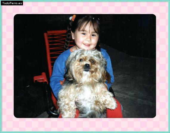 La foto del perro