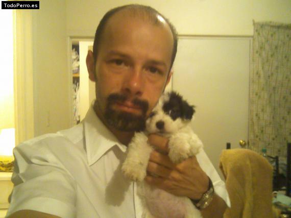 Foto del perro Ramon