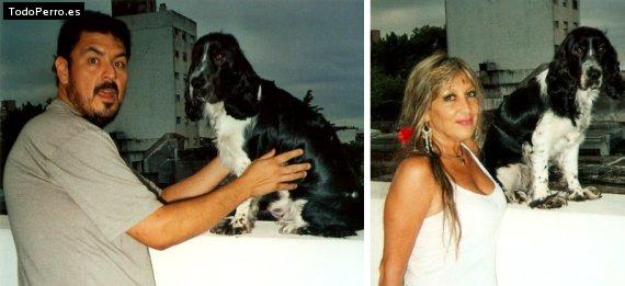 La foto del perro