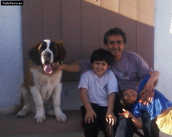 La foto del perro