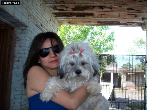 La foto del perro