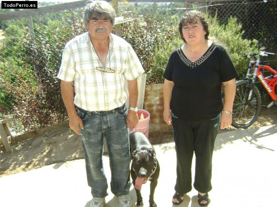 La foto del perro
