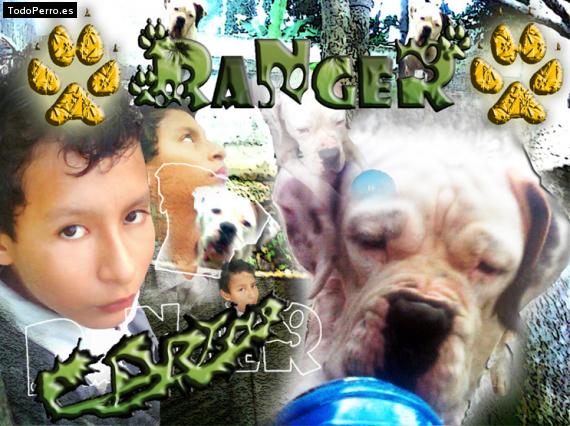 Foto del perro Ranger