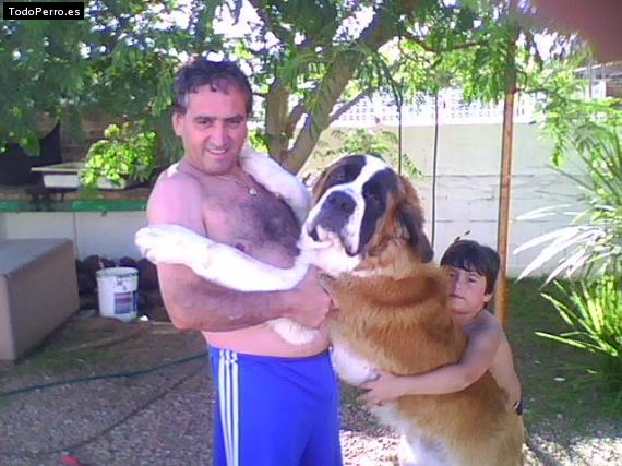 La foto del perro