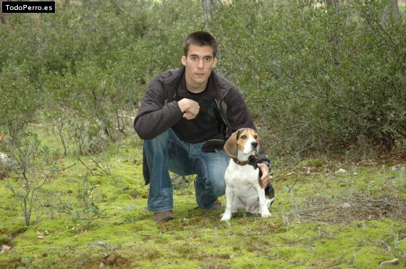 La foto del perro