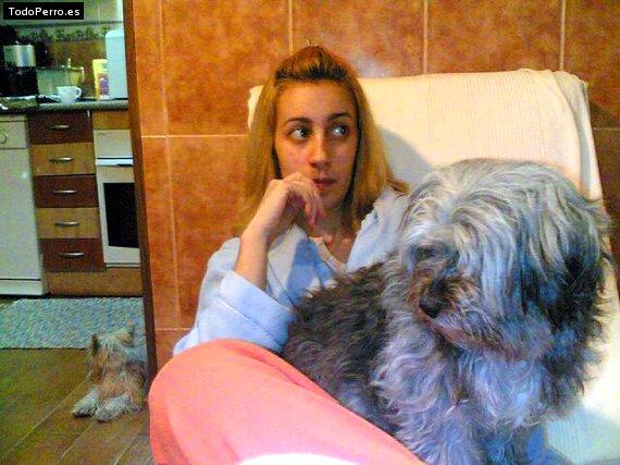 La foto del perro