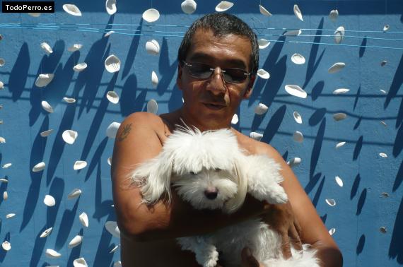 La foto del perro Jobita Foto del perro Jobita