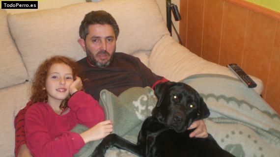 La foto del perro